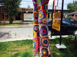 #yarnbomb at the ends of the earth // Jan 2016. #chile #puntaarenas