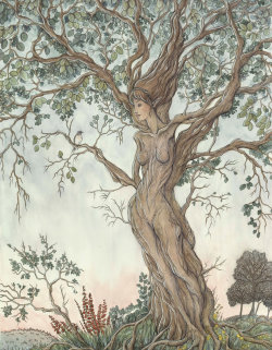 thebluechicory:  Dryads are tree nymphs in Greek mythology.