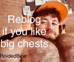 roidedbear:  Please share and follow RoidedBear if you love muscle!