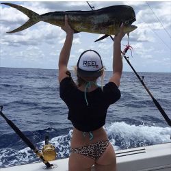 fish & hips