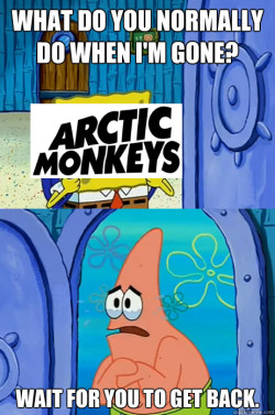 arcticmonkeysproblems:  Arctic Monkeys hiatus like