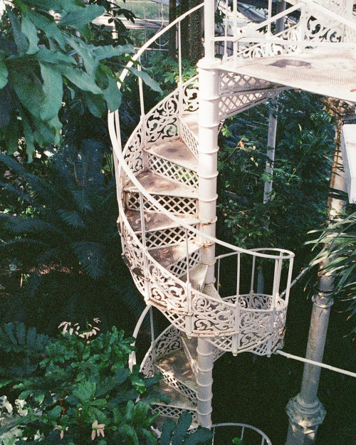 infected:Botanical Garden,  Copenhagen, photo by filmbywingyi