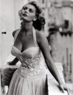  Sophia Loren 