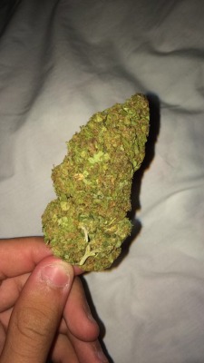 atheisticstoner:  close up of the newly picked up ounce.