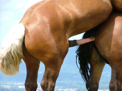 jackalv00d30:  Can’t tell if that’s a sheath or not down there. You be the judge. 