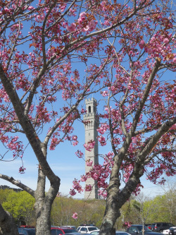 everythingcapecod:  Provincetown, Cape Cod (by Bosco851)