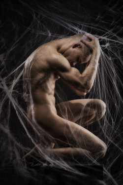 notdrunkenough:  hm69:  karmic webs we weave - thin and spidery, yet so strongÂ ! hunternprey:  Halloween spider webÂ !   http://notdrunkenough.tumblr.com 