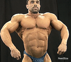 Mounds of muscles and an awesome package - WOOF
