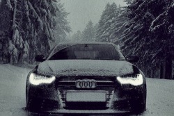 johnny-escobar:         Audi RS4 via THIS GUY        