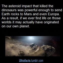 thetimelordwizard:  intoxikatie:  ultrafacts:  More Ultrafacts