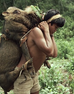 Palawan, Philippines, via  Philippines Pictures