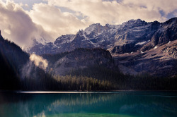 brutalgeneration:  Lake O’Hara (by jvdmeij) 