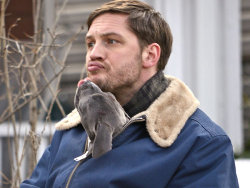 tomhardyrocks:  Tom Hardy playing with the puppy on the set