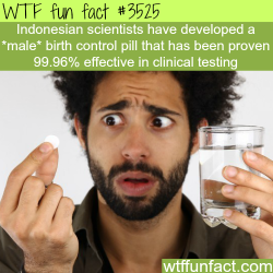 wtf-fun-factss: Male birth control are here - WTF fun facts