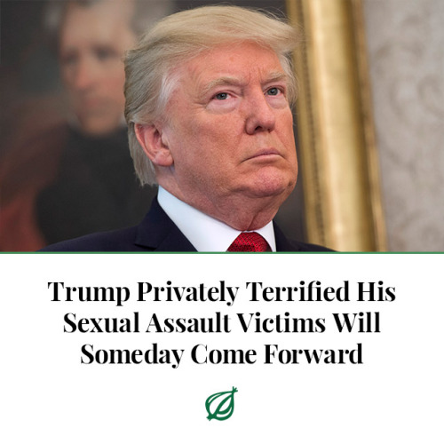 theonion:WASHINGTON—Expressing concerns about a potentially disastrous scandal, President Trump reportedly confided to White House officials Friday that he was terrified that his sexual assault victims would someday come forward. “I’m seeing all