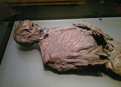 irisharchaeology:  Gallagh Man, a bog body from Co. Galway  In