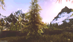frontierr-deactivated20130629:  Skyrim + trees/wateras requested