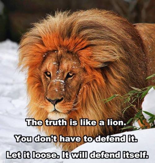 Often solitary but never weak