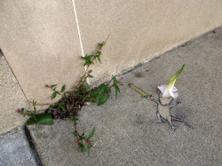 itscolossal:  David Zinn’s Quirky Chalk and Charcoal Characters