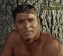 Burt LancasterThe Swimmer (1968)