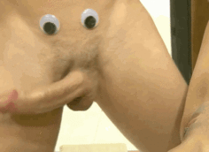 the artful cock