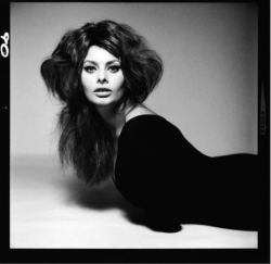 foxybelka:  Sophia Loren