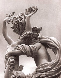 templeofapelles:  Gian Lorenzo Bernini  (1598-1680) Detail, Apollo