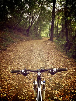 grandeciclismo:  Autumn on Monte Canto, Italy