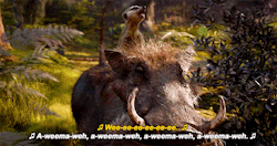 bob-belcher:  Timon and Pumbaa in The Lion King (2019) dir. Jon