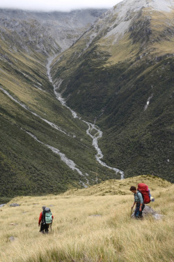 greaterland:  descending tussock (by go wild - NZ outside) 