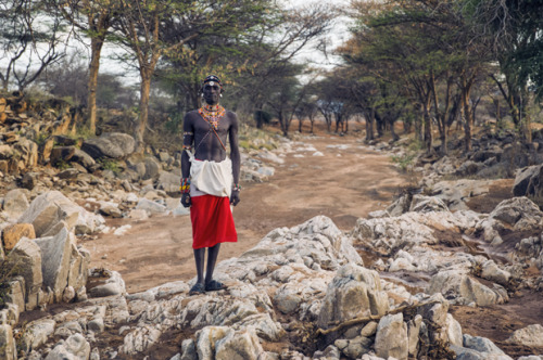 Samburu Warriors by  Dirk Rees.The Samburu people are a semi-nomadic tribe whose livelihood is dependent on the cattle, sheep and goat they raise. There is estimated to be 150,000 Samburu people living in the central Rift Valley of Kenya.Distinct social