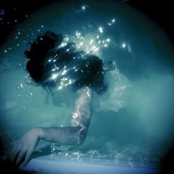 divinefruit:  softly the siren sings