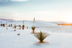 theriversandtheroads:  Dream World.  White Sands, New Mexico. 