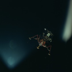 rhubarbes:  Apollo 11. (via En images : les superbes photos
