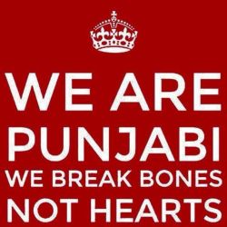 punjabidil:  omfg this is perfect, credits to whoever made it 