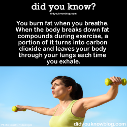 did-you-kno:  You burn fat when you breathe. When the body breaks