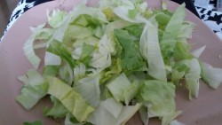 WHY DID WE GET SO MUCH LETTUCE I CAN’T EAT ALL THIS FUCKING