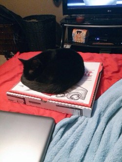 princes-juliana:  Set the pizza box down for one minute…