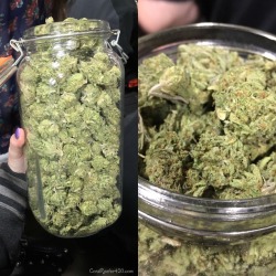 coralreefer420:  Here, let me hold that for you.