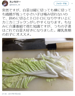 hutaba:  えいちけーさんのツイート: “突然ですが、白菜は縦に切っても横に切っても繊維が残って小さい子は噛み切れないので、斜めに切るとトロトロになりやすい上にカミカミゴックンがしやすくなります。ちなみに介護番組で得た知識ですが、うちの子達はこれで白菜大好きになりました。離乳食期のお子にオススメ。