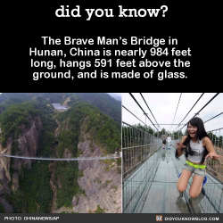 did-you-kno:  Each of the glass panes is 24 millimeters thick