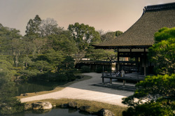 hontai:  After noon ~ Ninna-ji 午後 . 仁和寺 Japan Kyoto