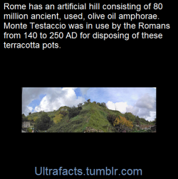 ultrafacts:    MONTE TESTACCIOThis hill made entirely of ancient