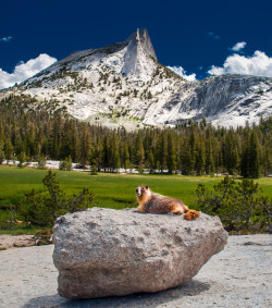 earthlynation:  (via 500px / The Cathedral watchman by Leo LR)