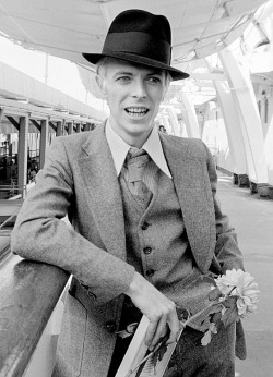 THE THIN WHITE DUKE