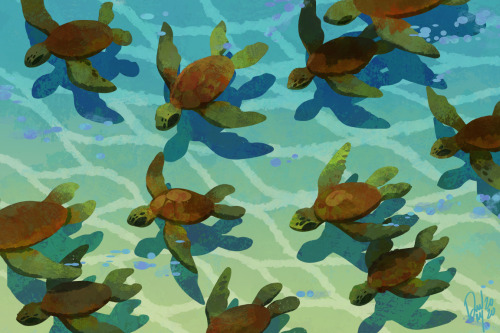 tamberella:Drifting Turtles 