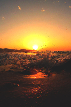 Kingdom Of The Ocean