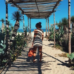 MARESIA ☼