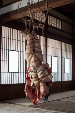 thevertigonetwork:    Shibari:Naka AkiraModel:Kasumi HouraiPhoto:Erisa