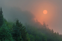 afogblog:  Morning In Algonquin by Golden_Arrow on Flickr. 